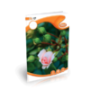 Atlas A4 Book CR 120PGS (=) Single Ruled