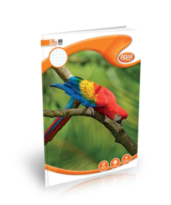 Atlas A4 Book CR 80PGS (#) Square Ruled